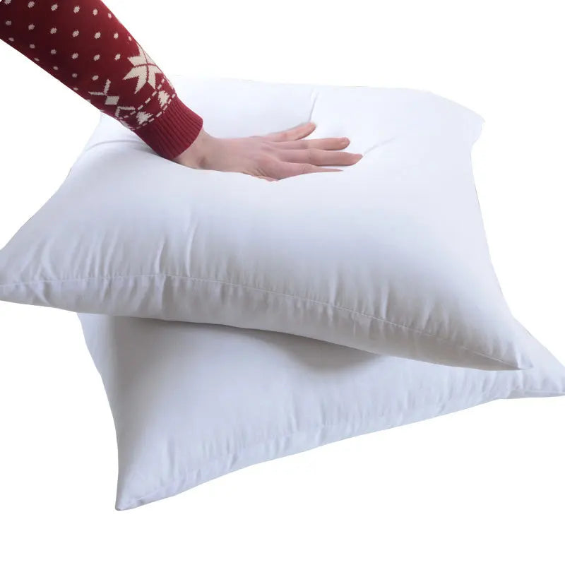 Standard White Throw Pillow Insert